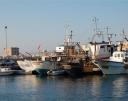 Fishing boat port