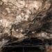 Grotta Miceli